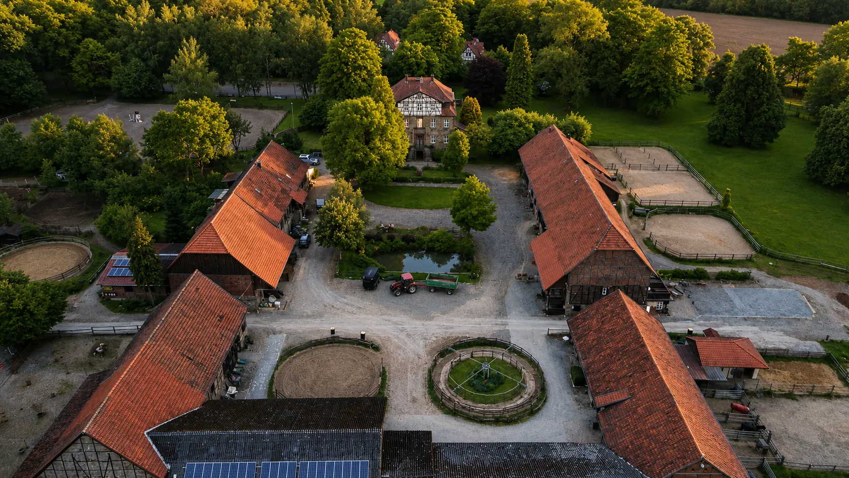 Pferde auf der Koppel im Abendlicht